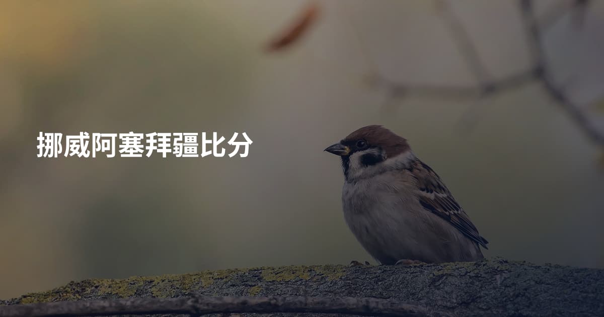 挪威阿塞拜疆比分