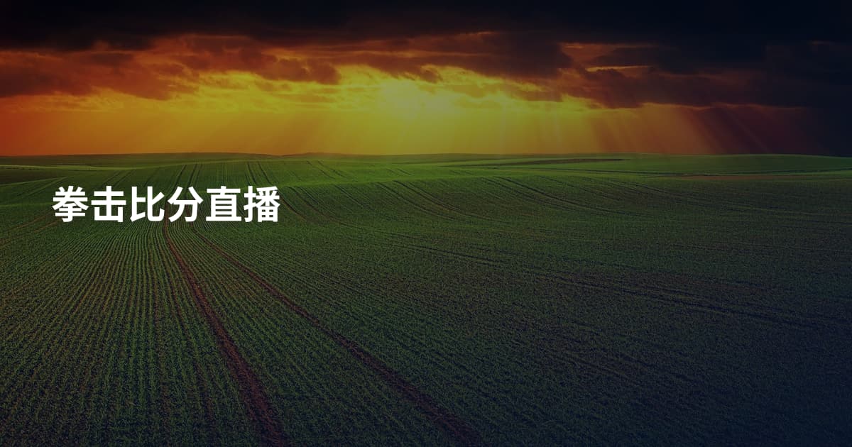 拳击比分直播