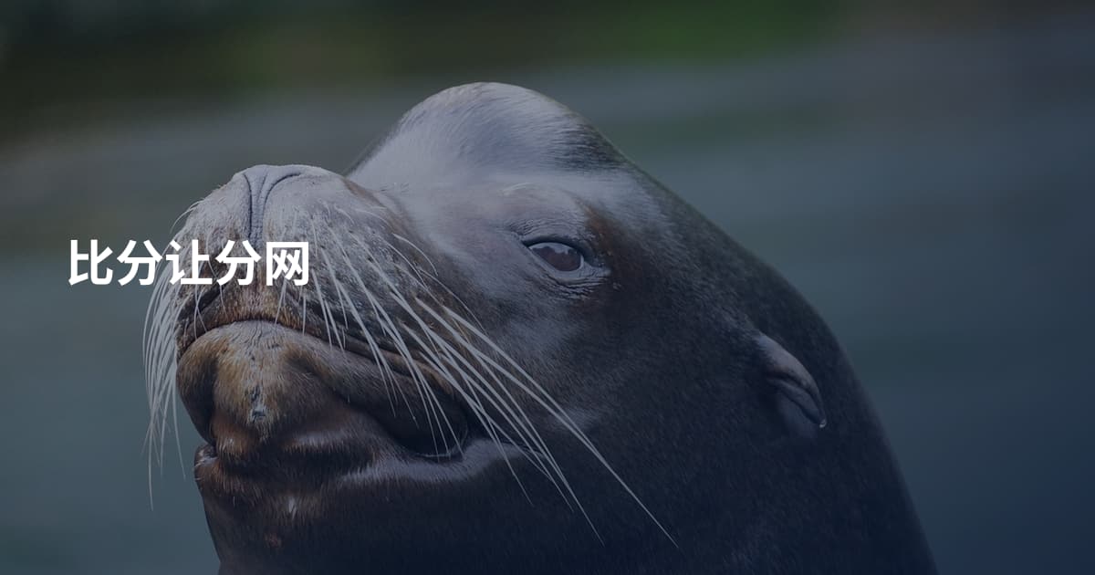 比分让分网