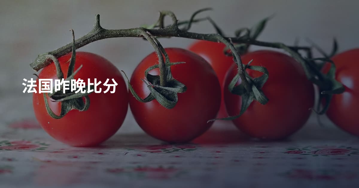 法国昨晚比分