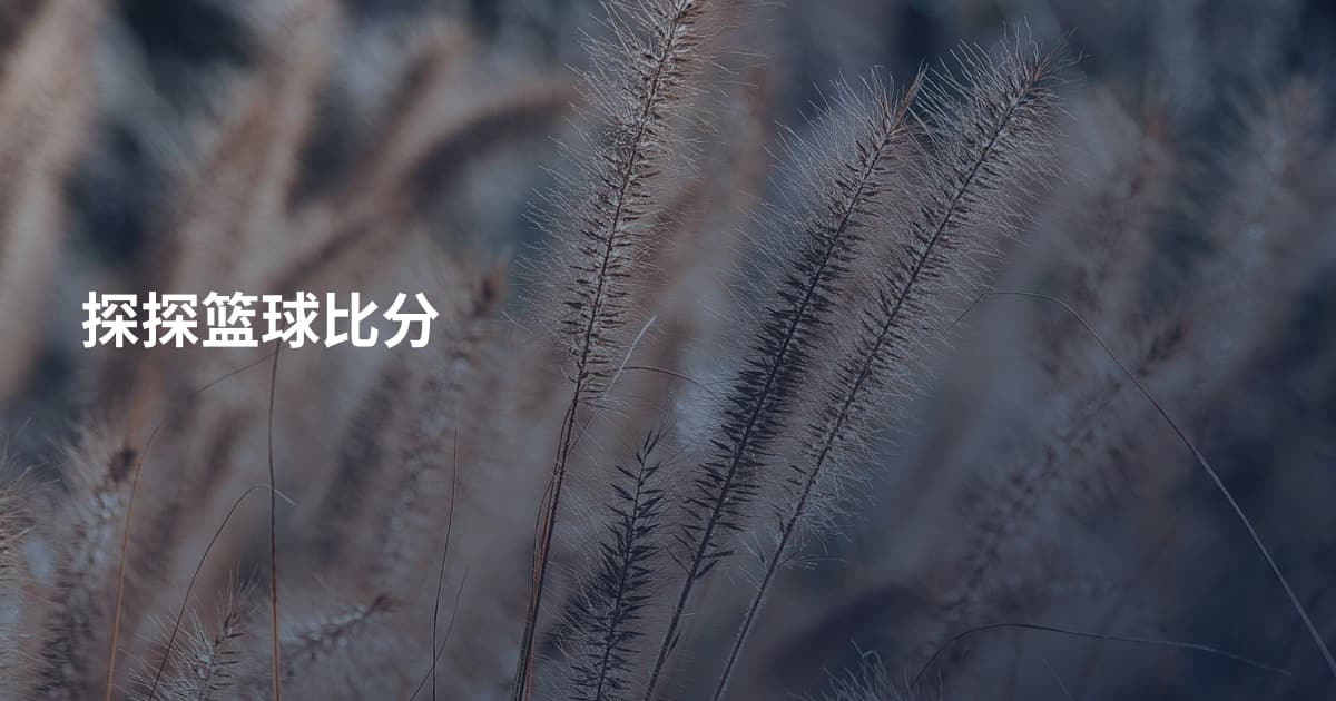 探探篮球比分