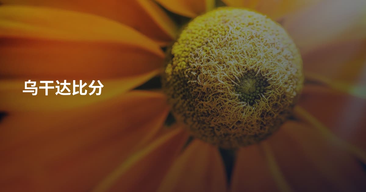 乌干达比分