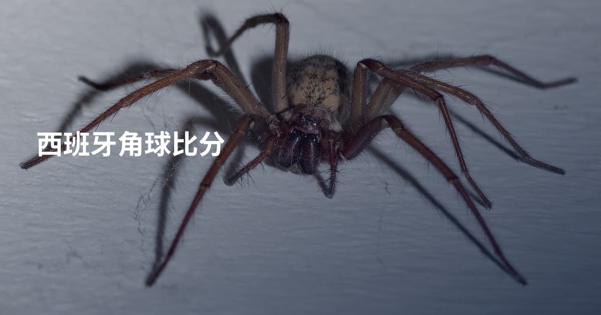 西班牙角球比分