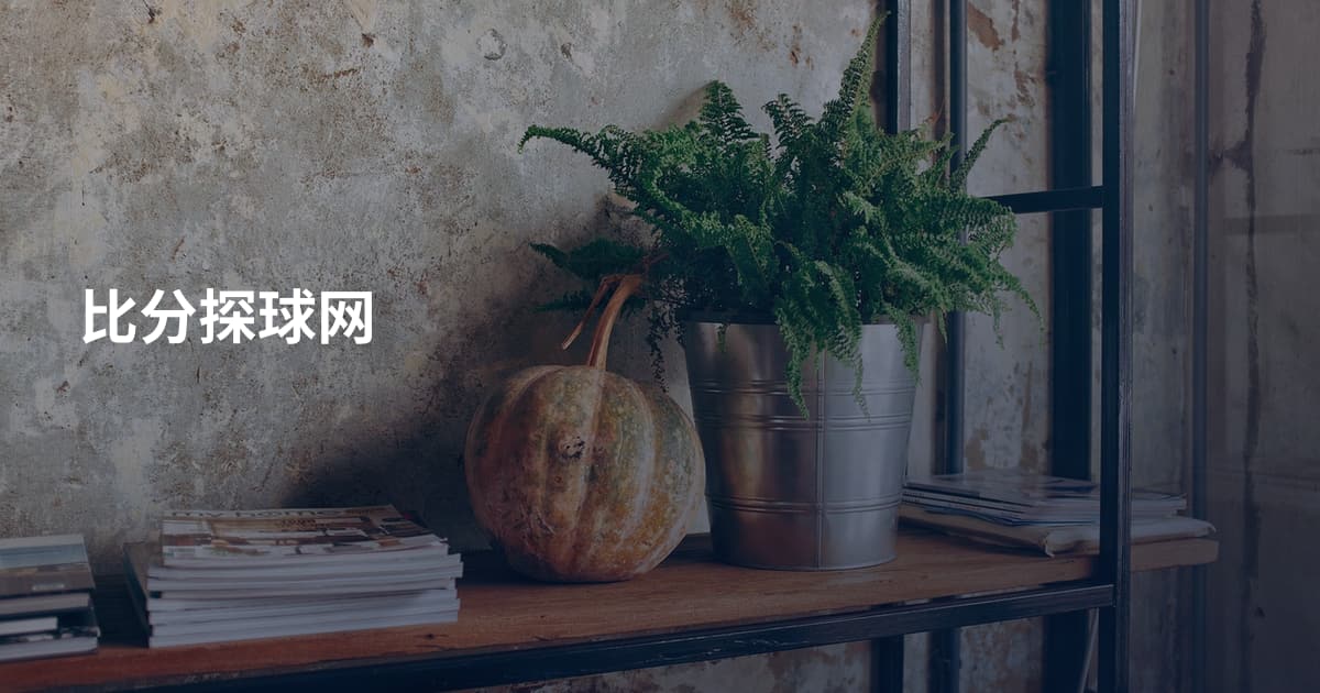 比分探球网