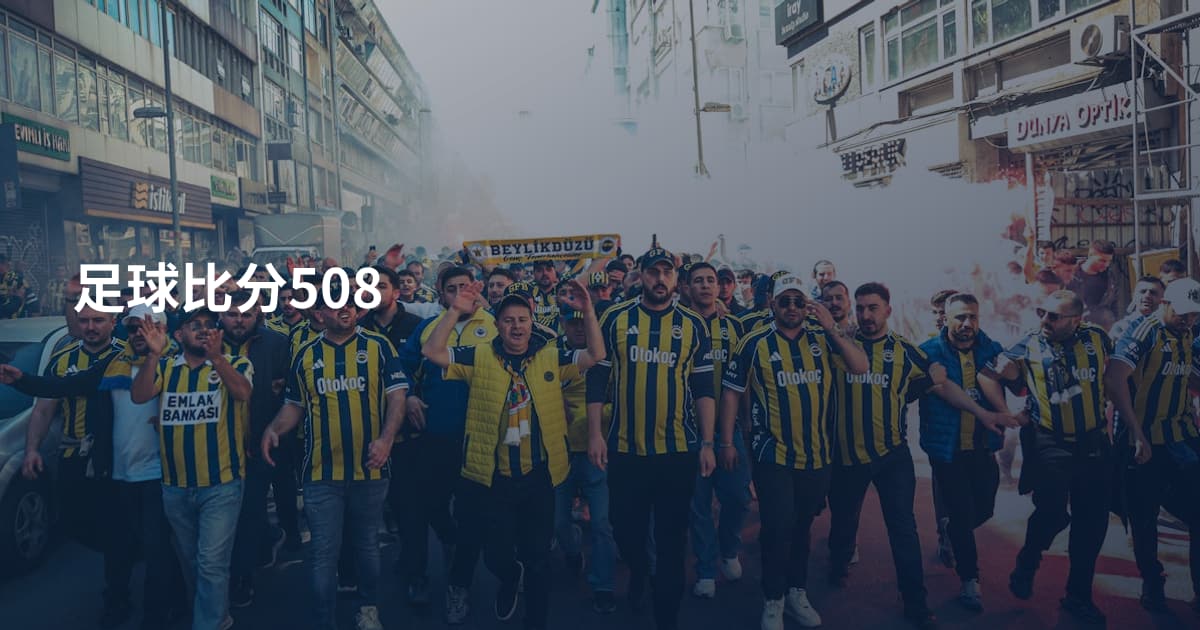 足球比分508