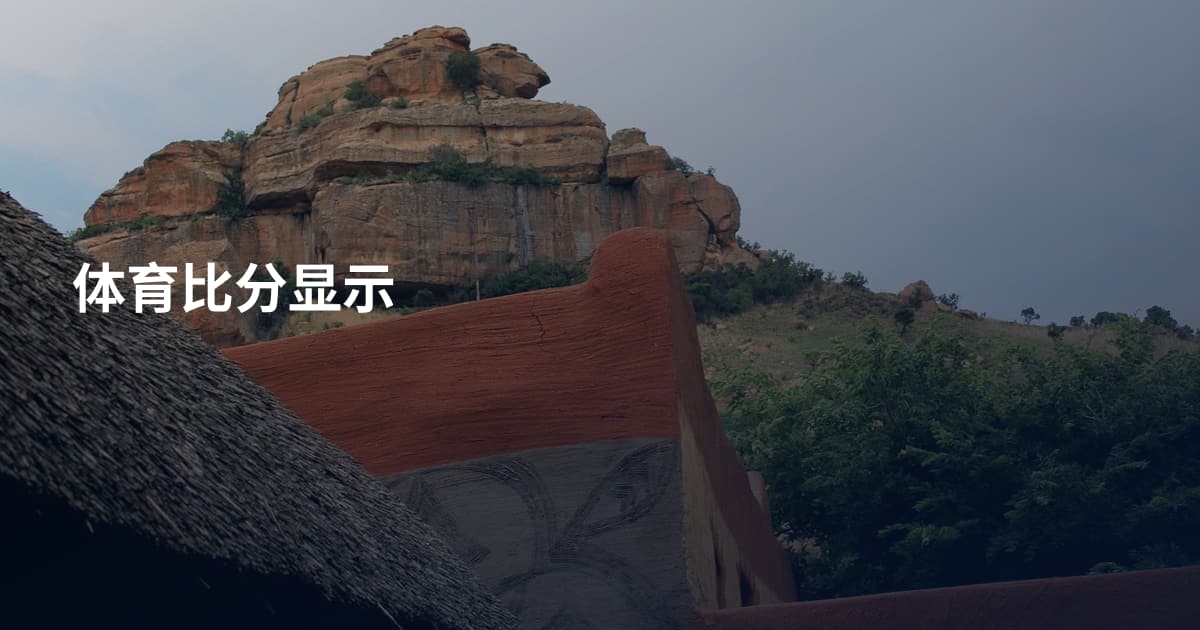 体育比分显示