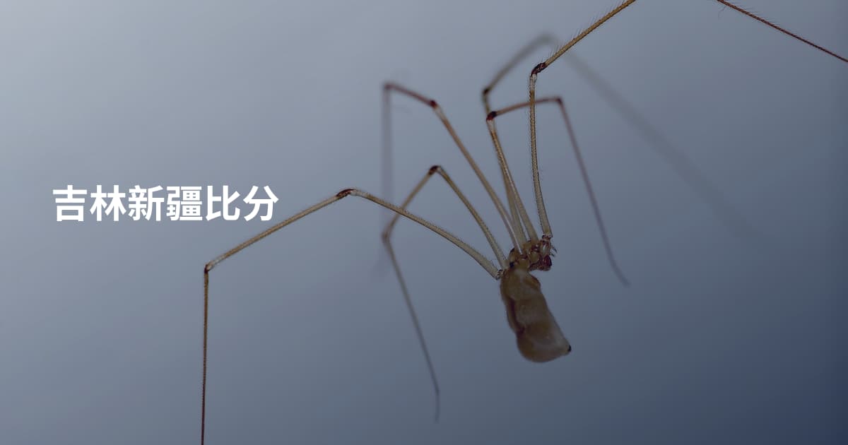吉林新疆比分