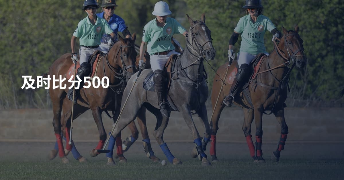 及时比分500
