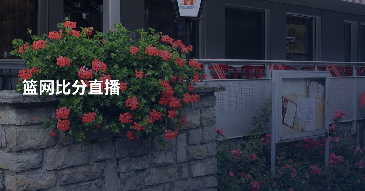 篮网比分直播
