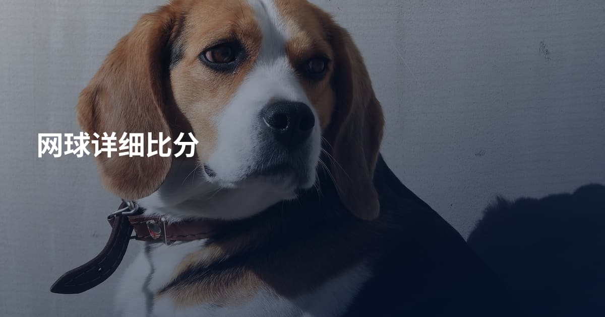 网球详细比分