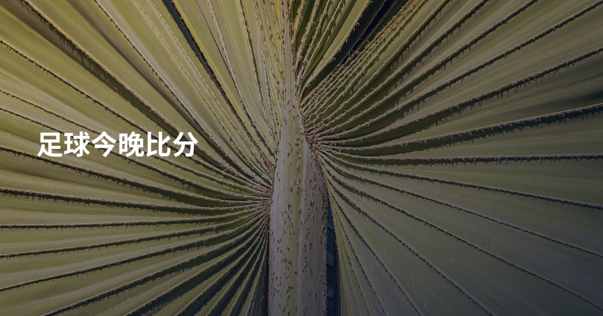 足球今晚比分