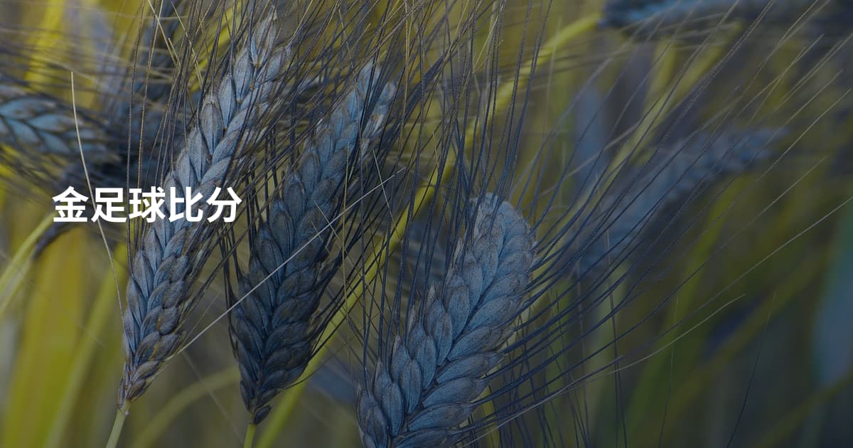金足球比分