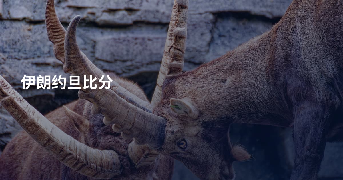 伊朗约旦比分