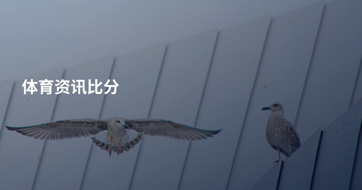 体育资讯比分