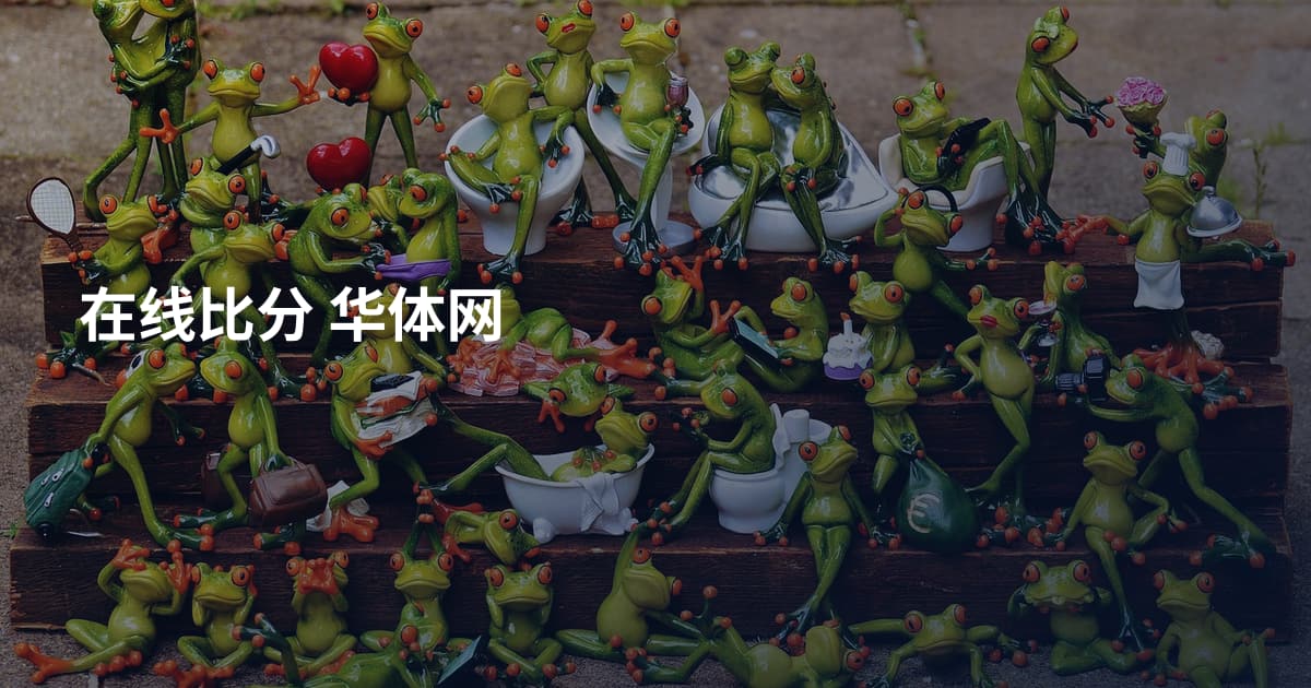 在线比分 华体网