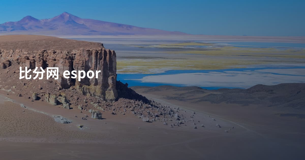 比分网 espor
