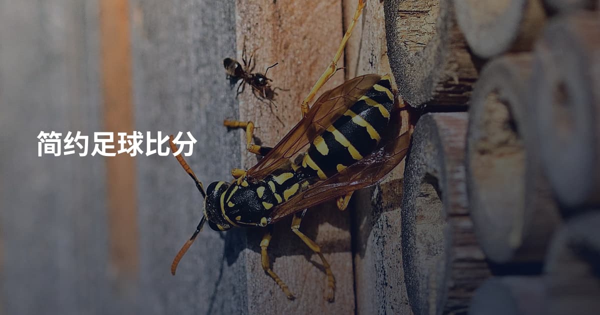 简约足球比分