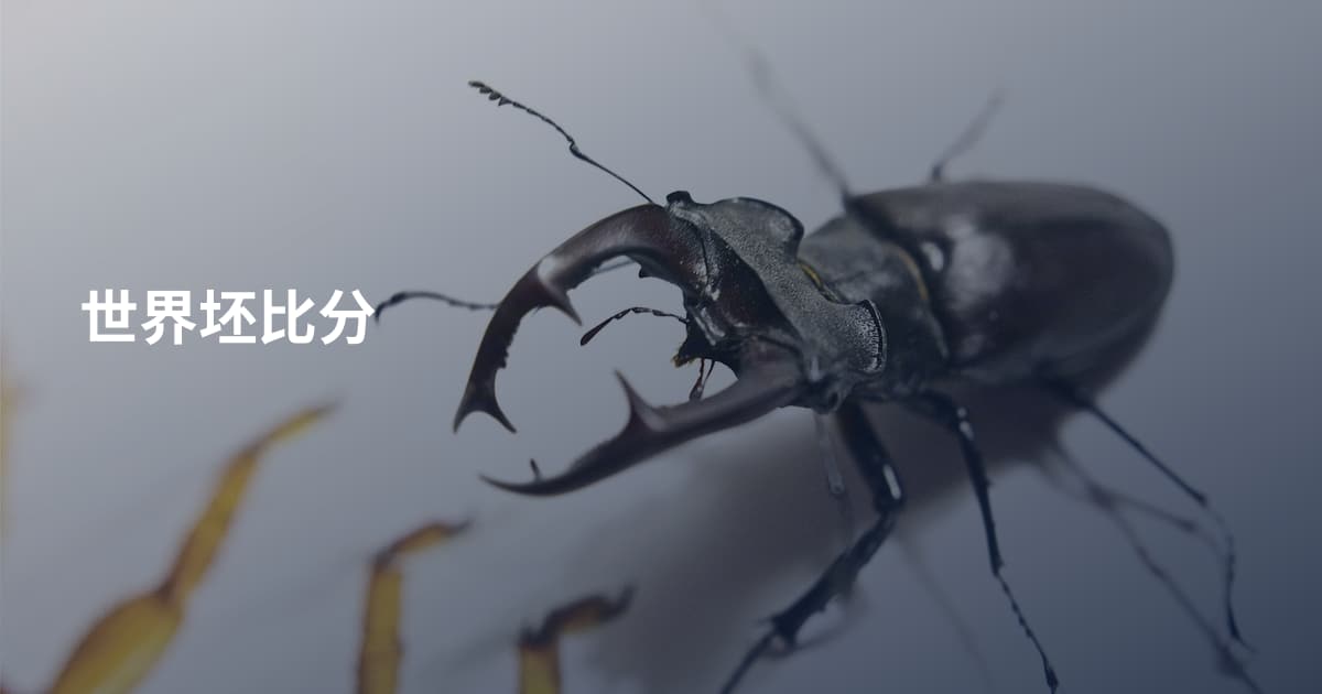 世界坯比分