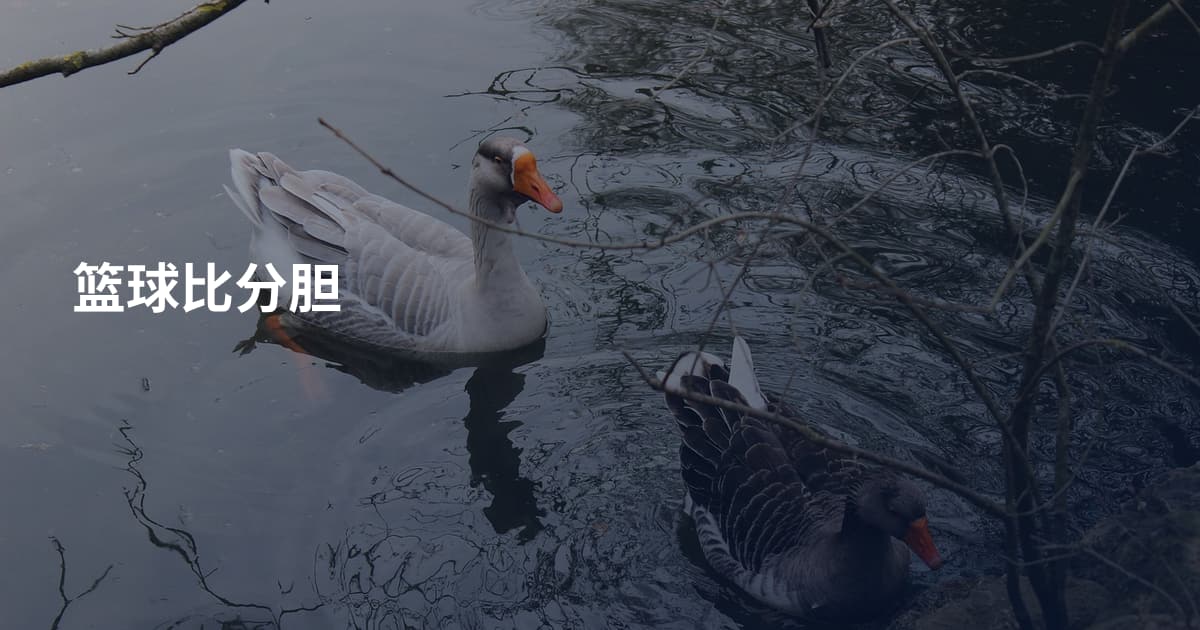 篮球比分胆