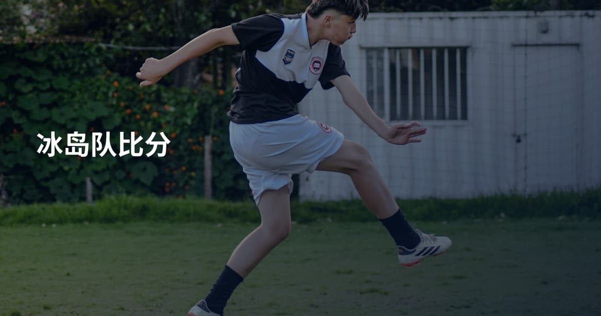 冰岛队比分