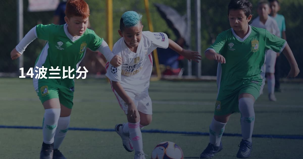 14波兰比分