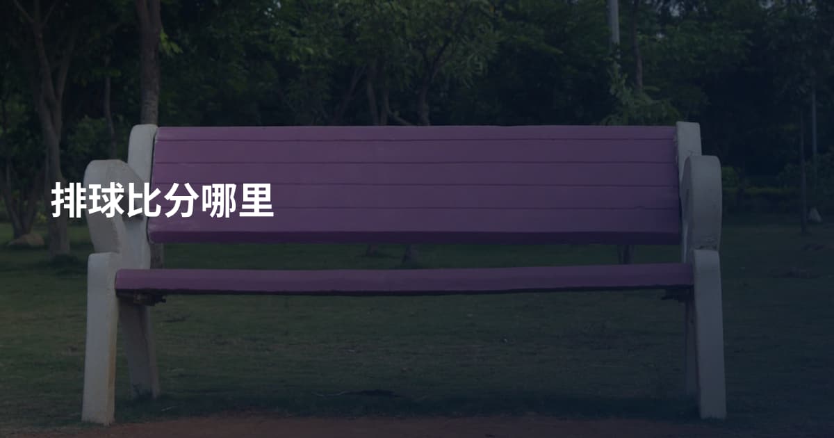 排球比分哪里