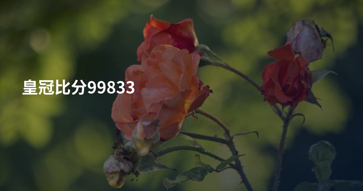 皇冠比分99833
