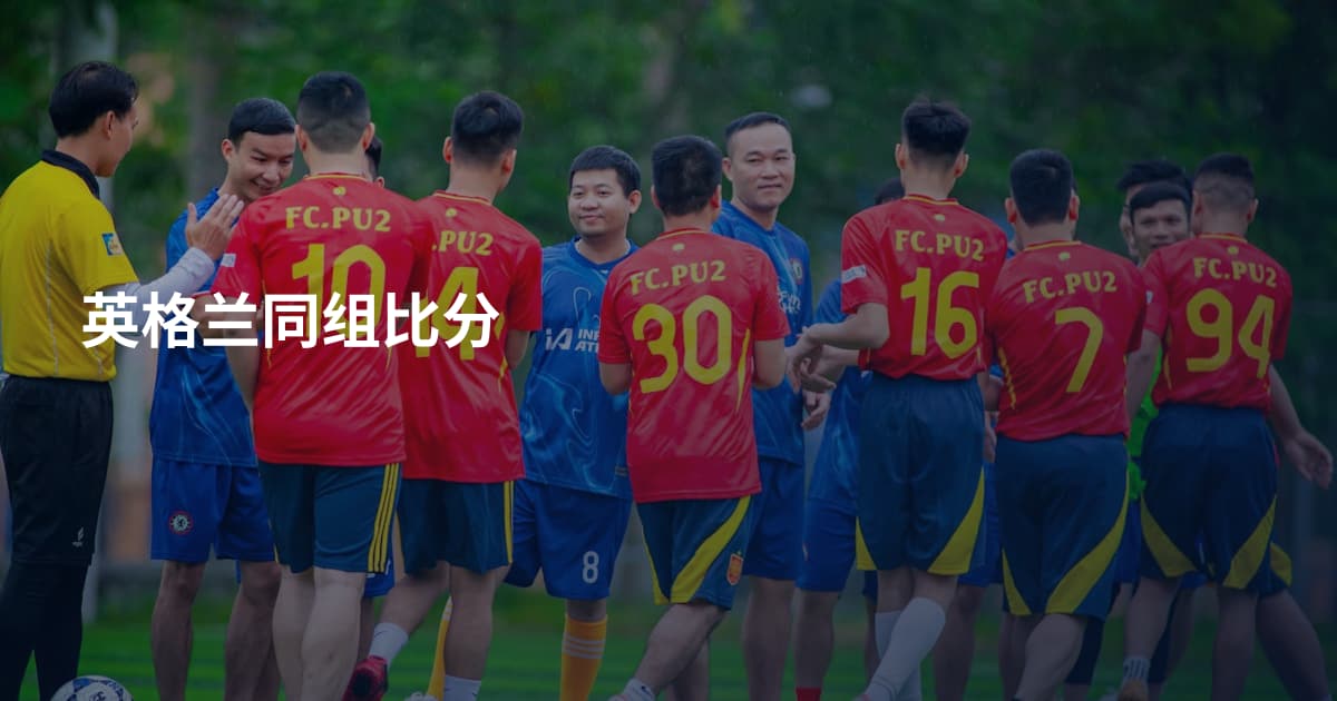 英格兰同组比分