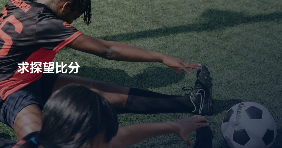 求探望比分