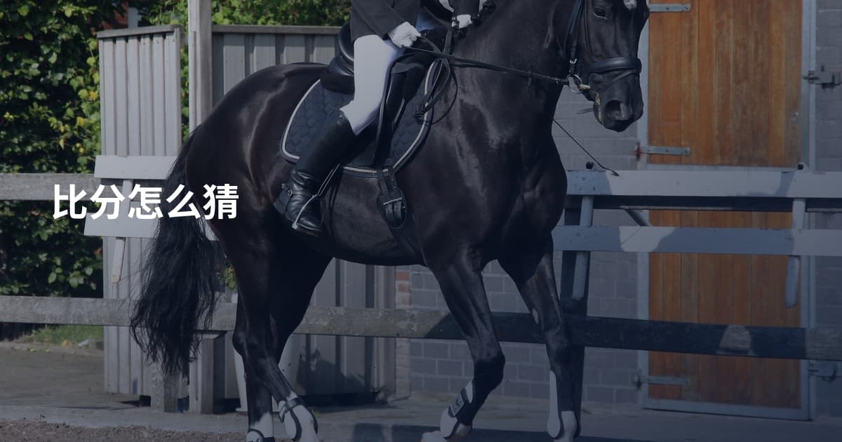比分怎么猜