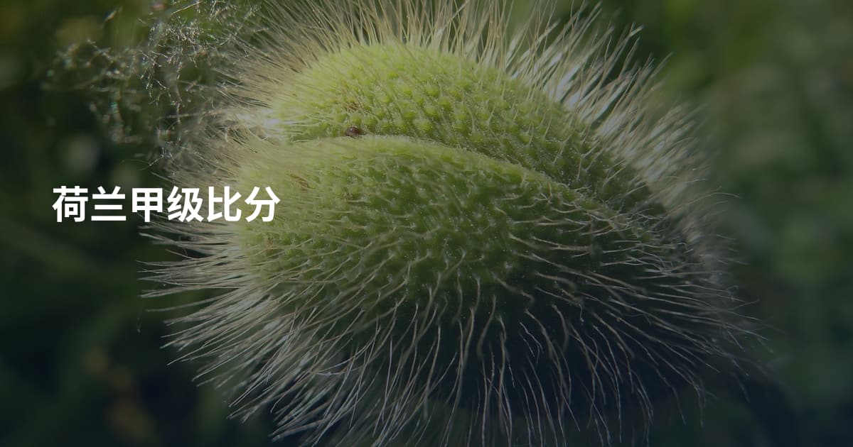 荷兰甲级比分