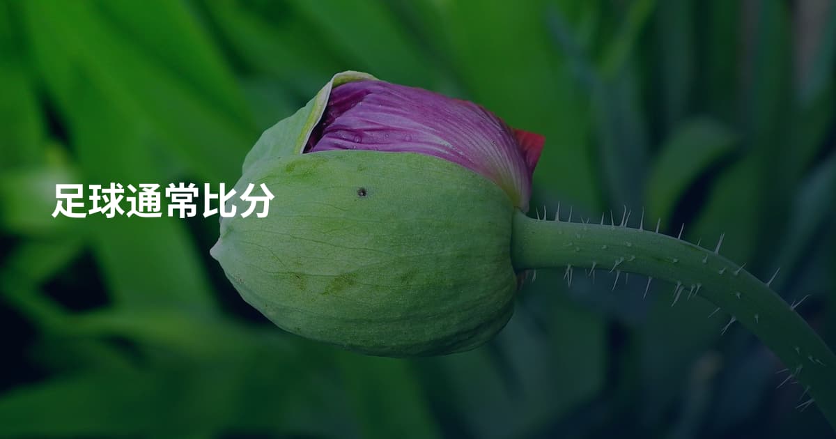 足球通常比分