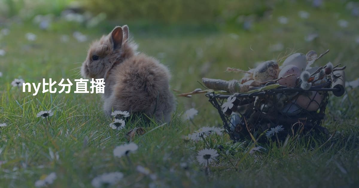 ny比分直播