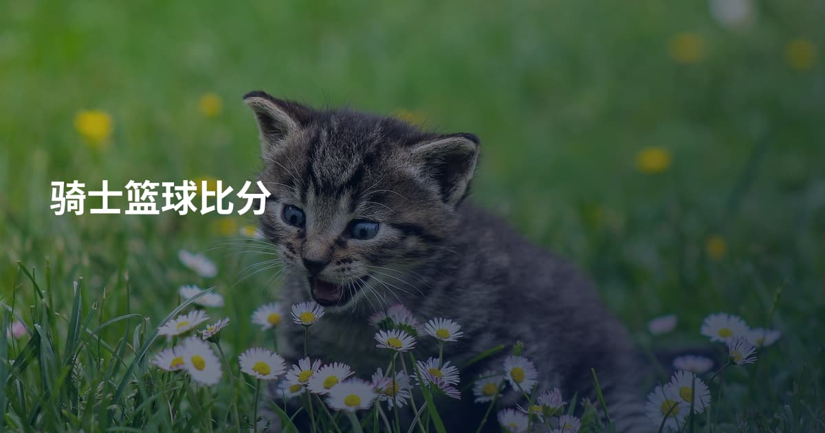 骑士篮球比分