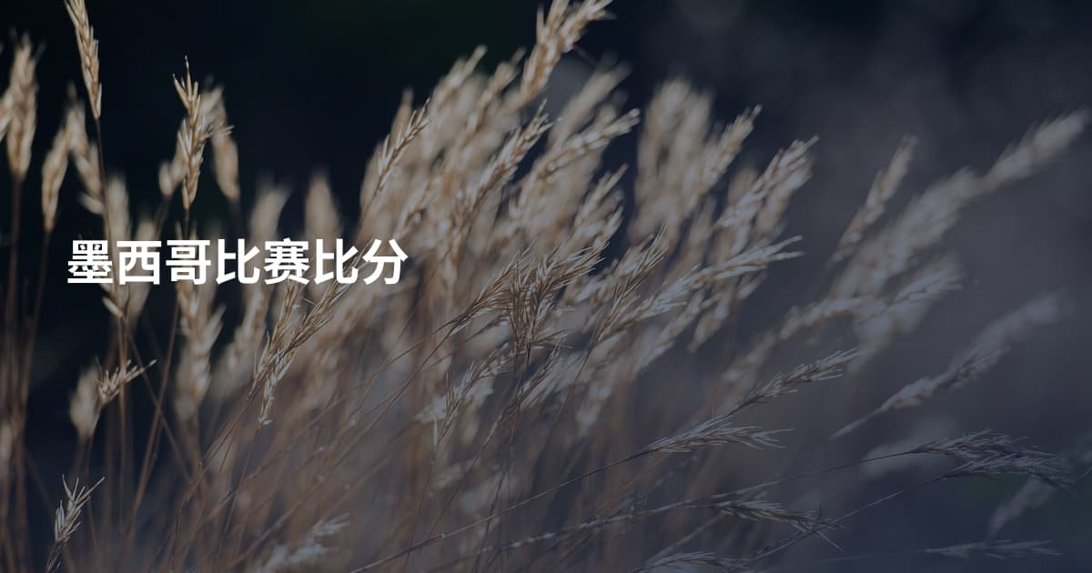 墨西哥比赛比分