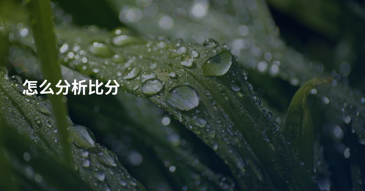 怎么分析比分