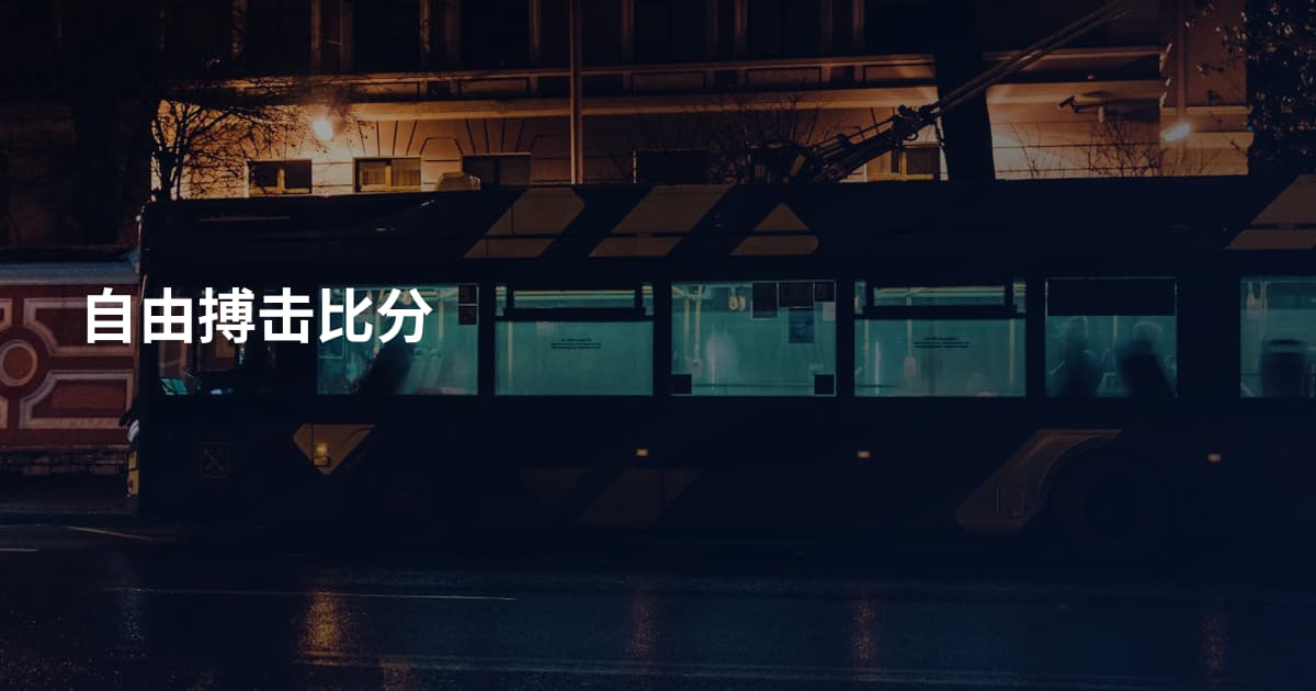 自由搏击比分