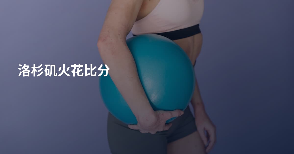 洛杉矶火花比分