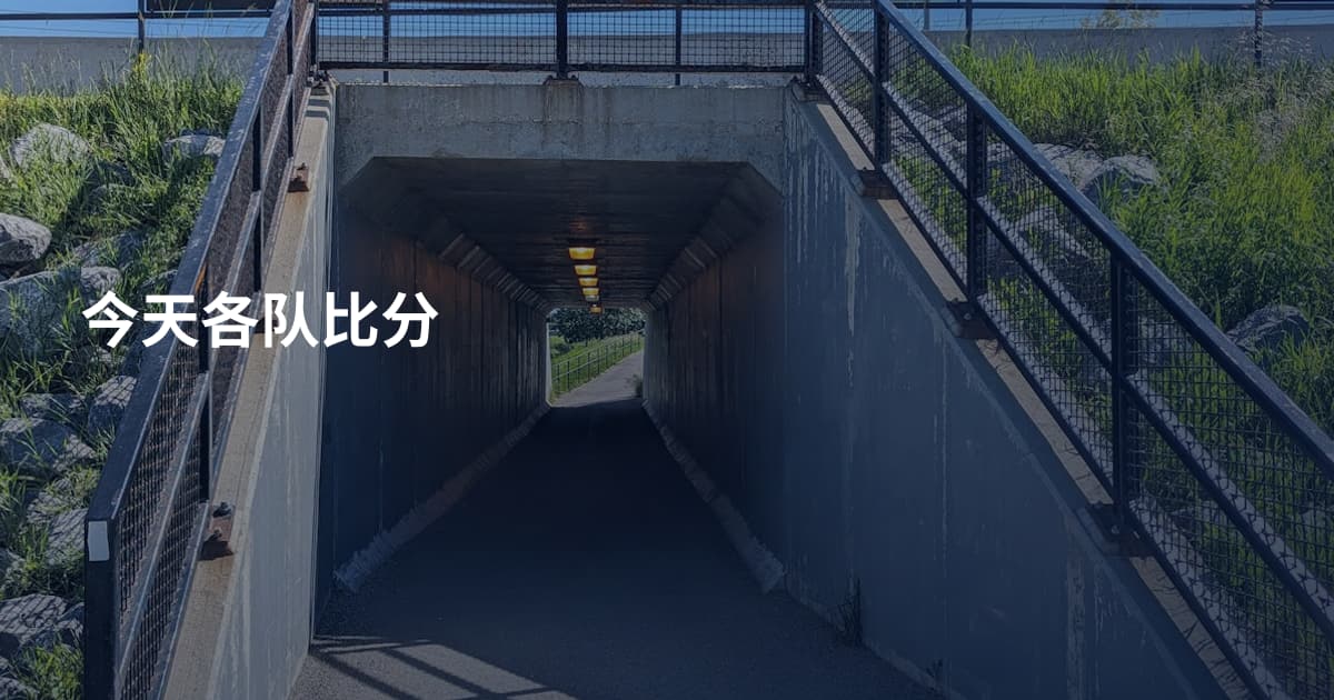 今天各队比分
