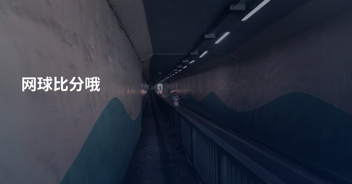 网球比分哦