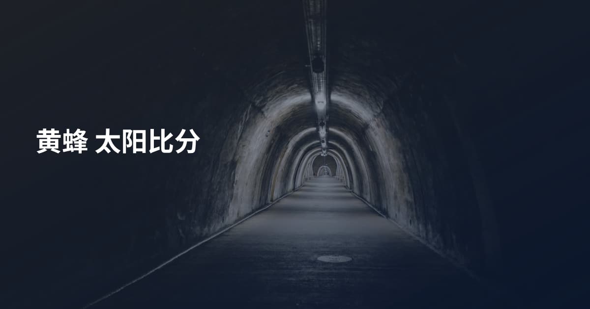 黄蜂 太阳比分