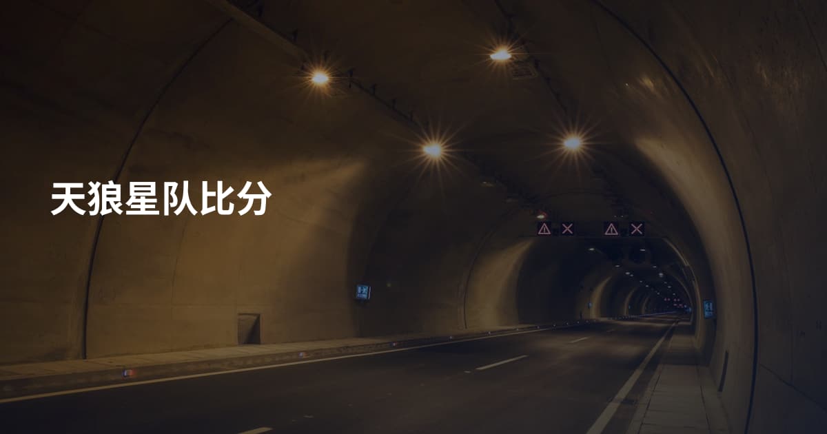 天狼星队比分