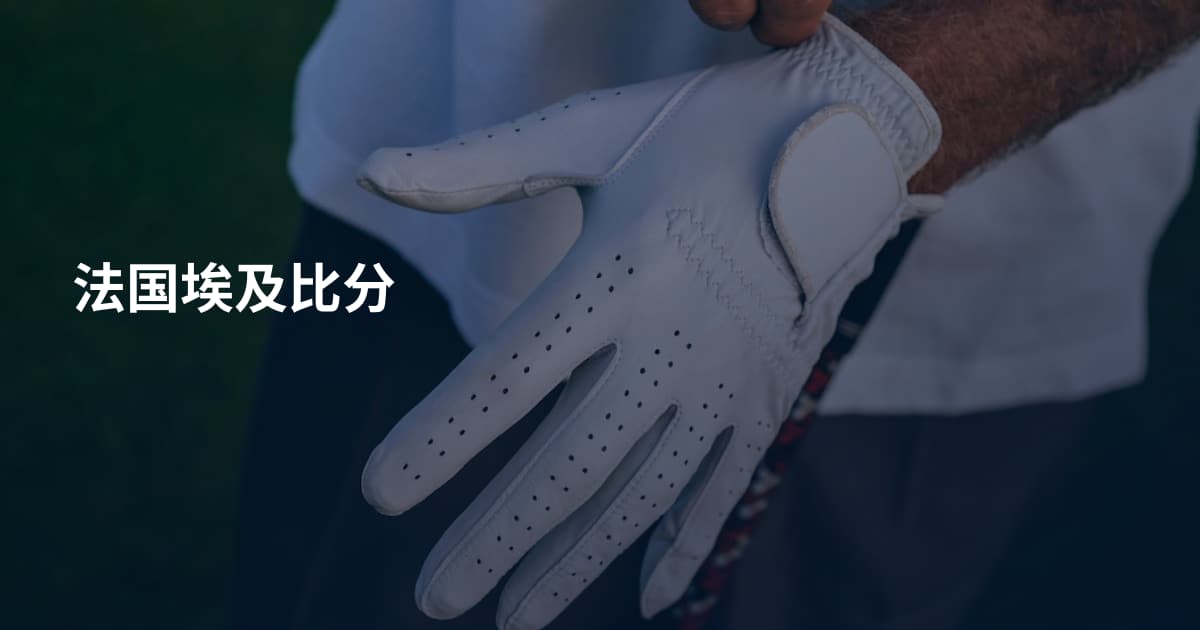 法国埃及比分