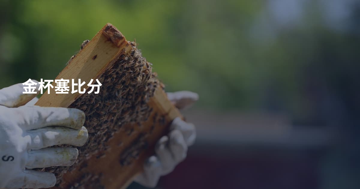 金杯塞比分