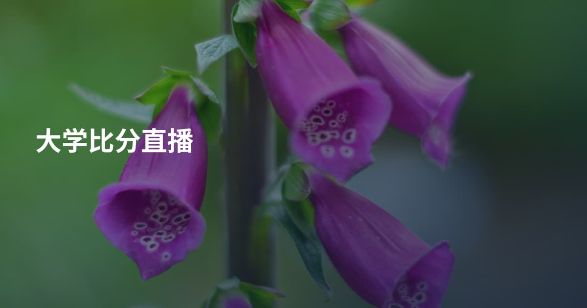 大学比分直播