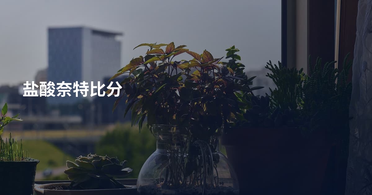 盐酸奈特比分