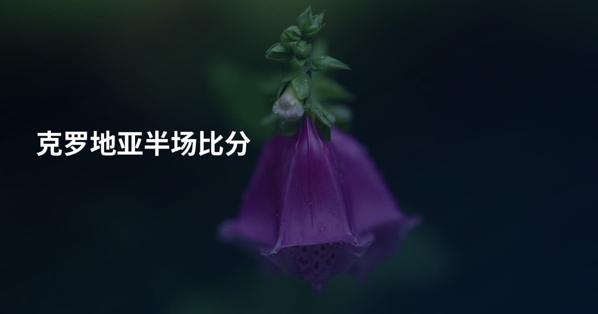 克罗地亚半场比分