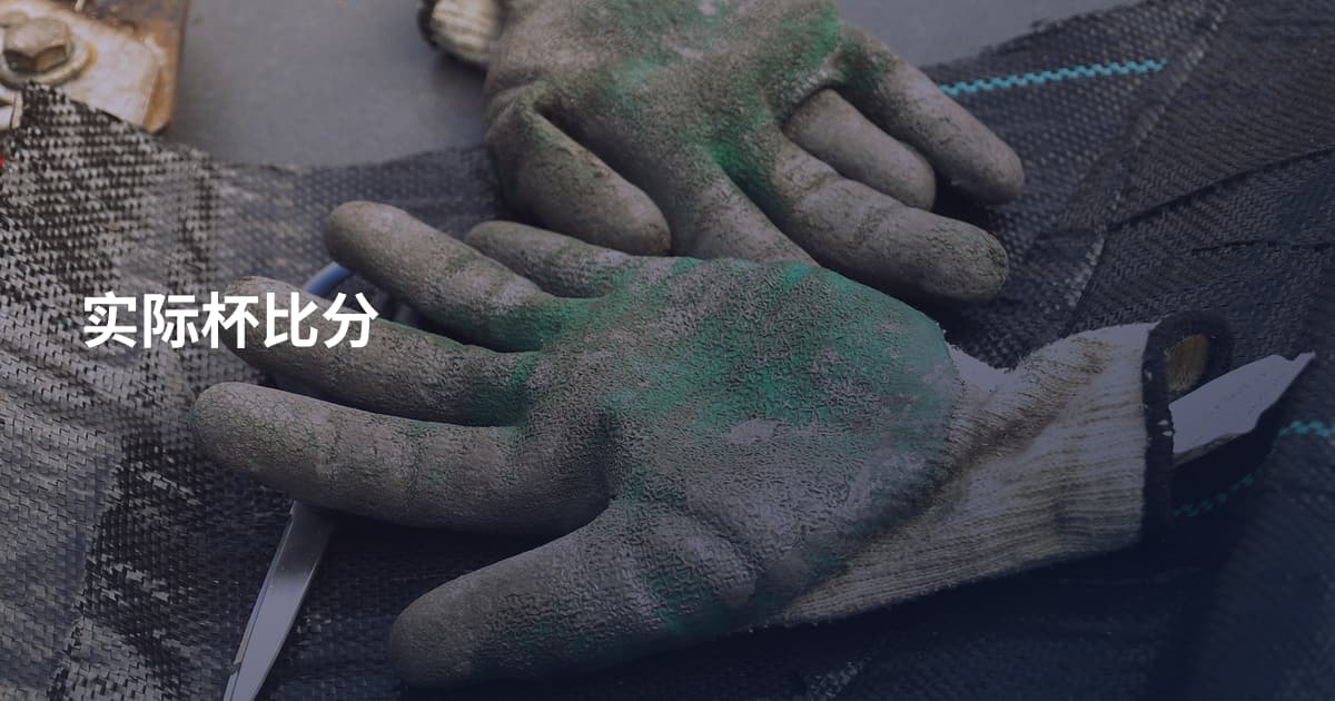 实际杯比分
