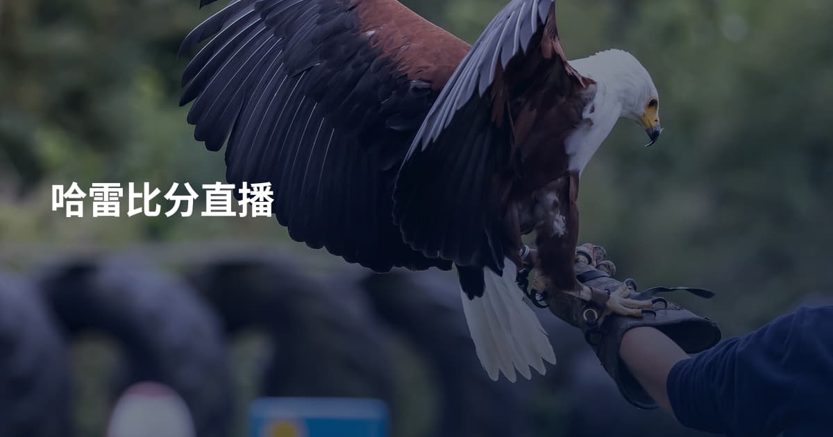 哈雷比分直播