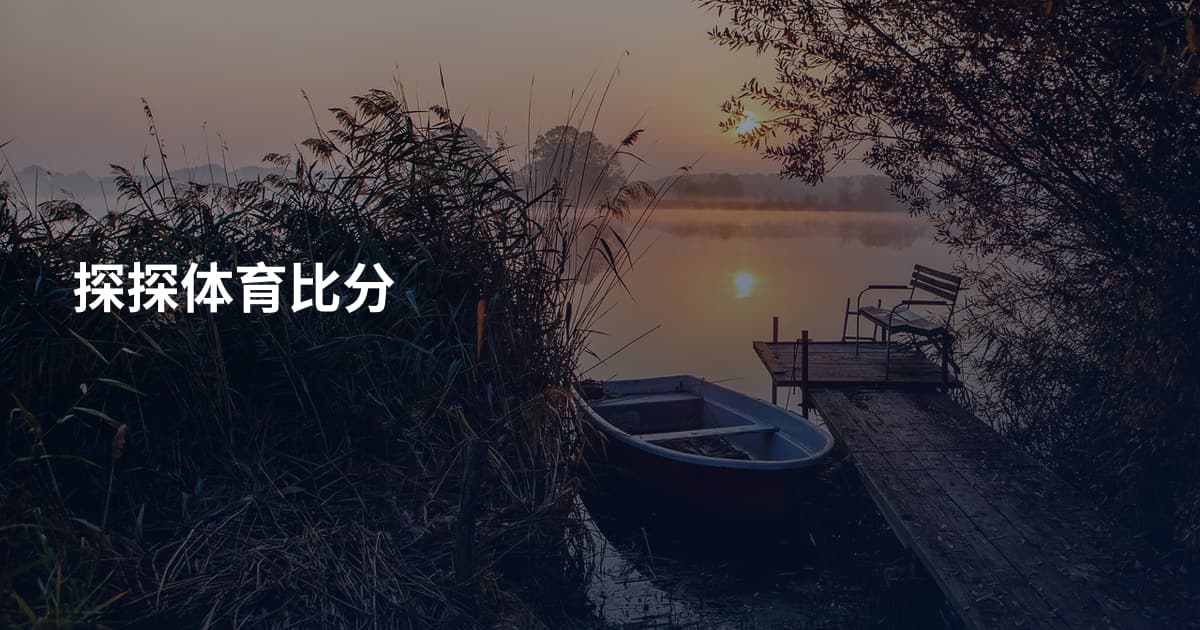 探探体育比分